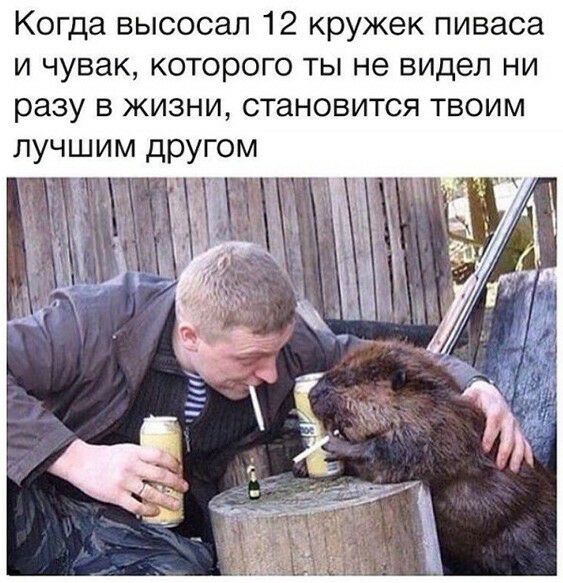Когда высосал 12 кружек пиваса и чувак которого ты не видел ни разу в жизни становится твоим лучшим другом