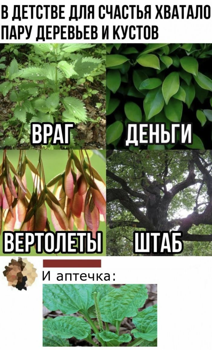 В ДЕТСТВЕ ДЛЯ СЧАСТЬЯ ХВАТАЛО ПАРУ дЕРЕВЬЕВ И КУСТПВ м Ё ЕВРАЁ ДЕНЬГИ _ З і і Ё ВЕРТОЛЕТЫ ШТАБ