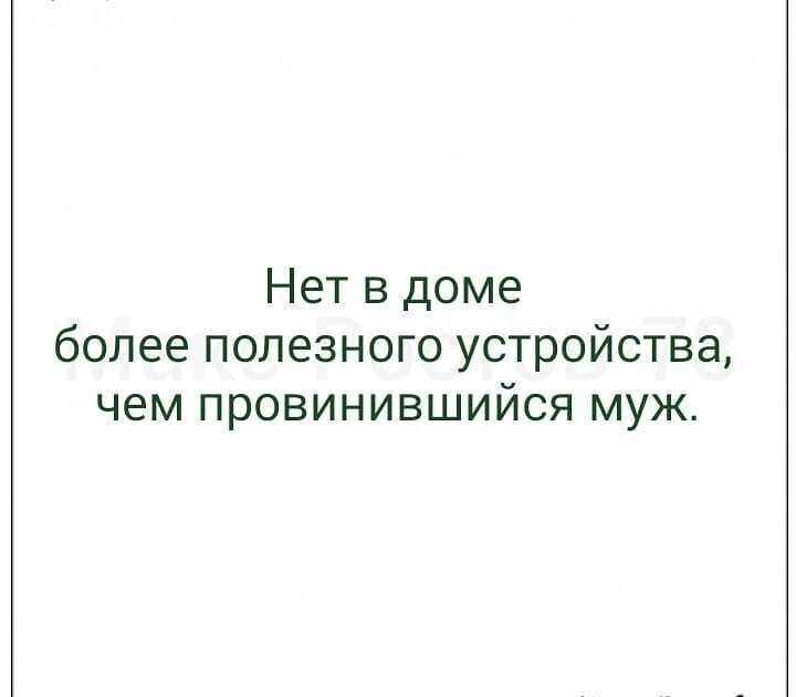 Нет в доме более полезного устройства чем провинившийся муж