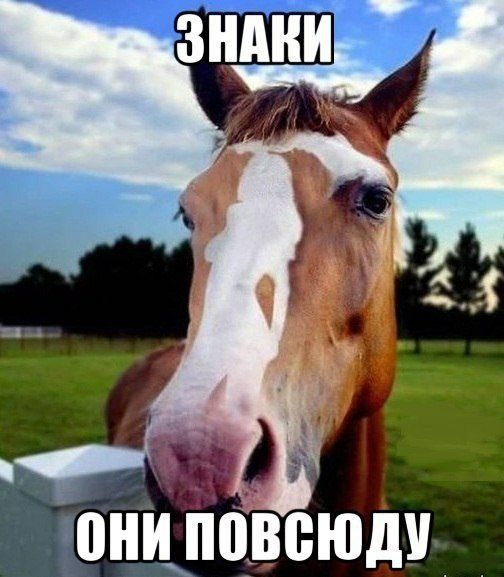 онимовеюду