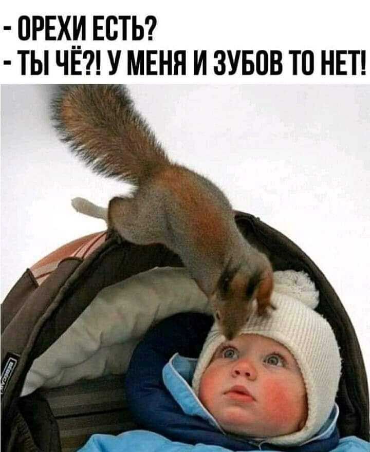 ОРЕХИ ЕСТЬ ТЫ ЧЕ У МЕНЯ И ЗУБПВ ТО НЕТ