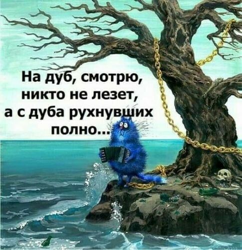 н5ду смотрю никто не лезет а с дуба рухнув