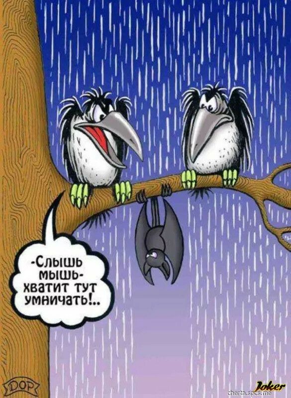 мышь хватит тут умничато