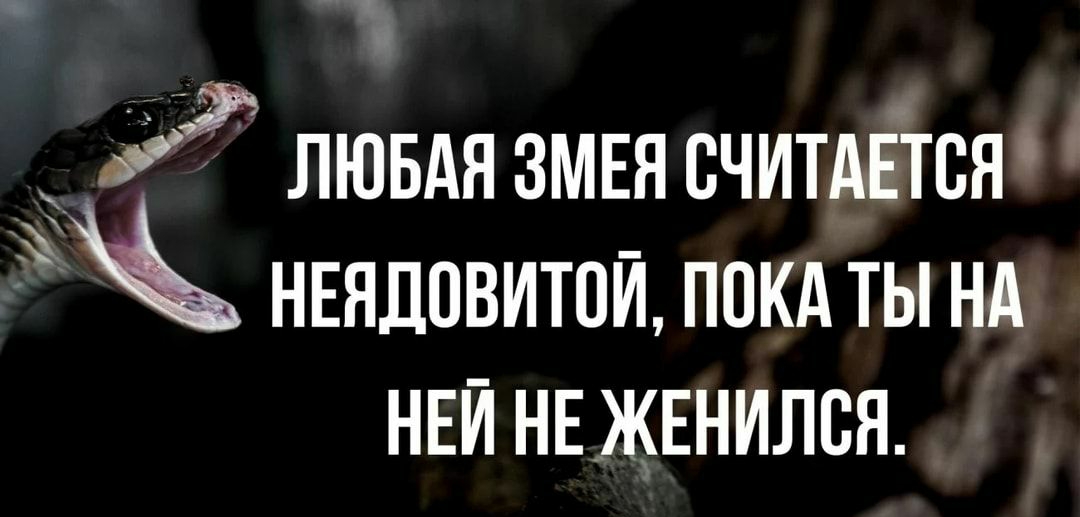 ЁЛЮБАЯ ЗМЕЯ СЧИТАЕТВН нвядовитоИ покд ты НА НЕИ НЕЖЕНИЛВН