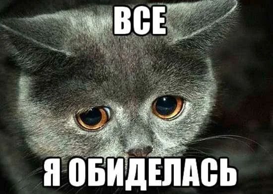 Би ц