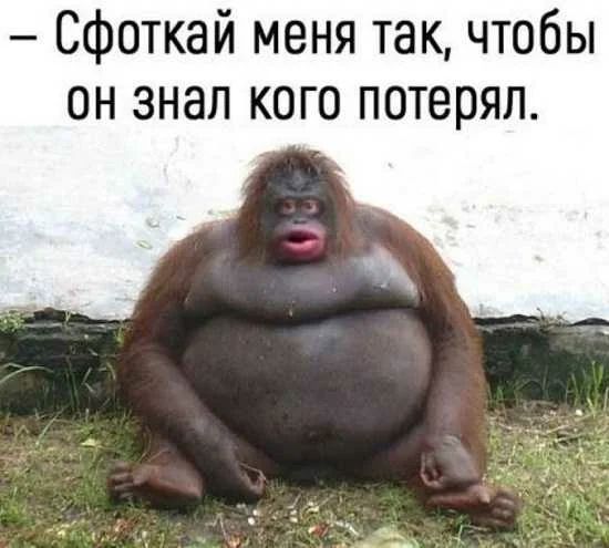 Сфоткай меня так чтобы он знал кого потерял