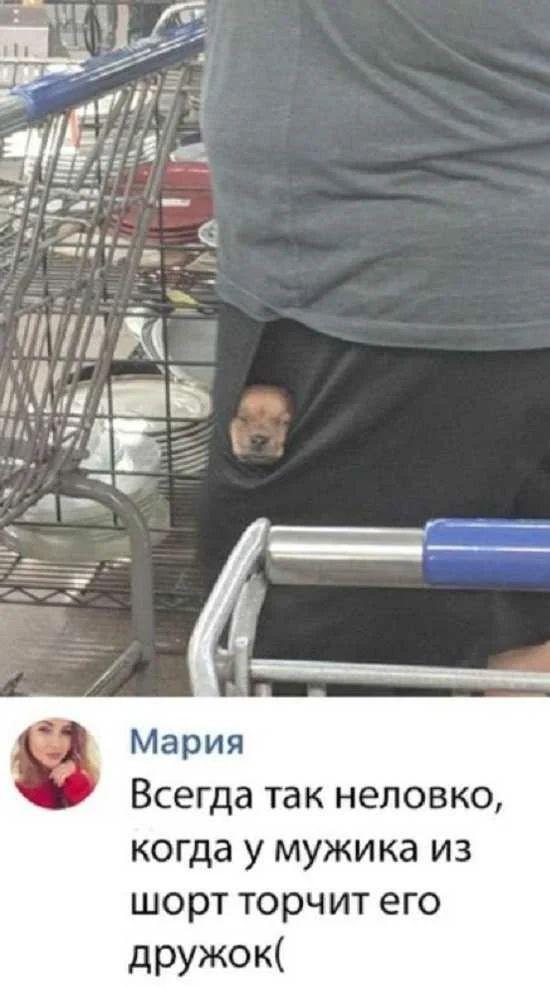 Всегда так неловко когда у мужика из шорт торчит его дружок