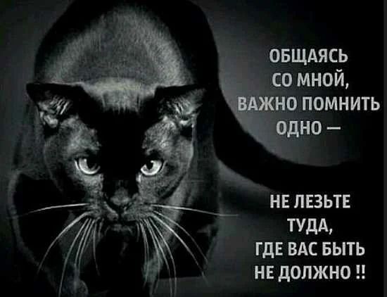 _ овщдясь мной рпомнить дно нв пвзьтЕ ТУДА ГДЕ ВАС БЫТЬ нг должно