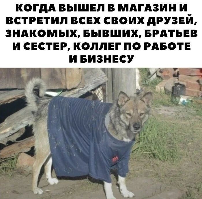когдд вышел в мдгАзин и встретил всех своих друзей зндкомых вывших егдтьев и сестер коллег по месте И БИЗНЕСУ