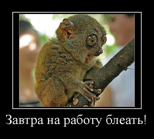 Завтра на работу блеать