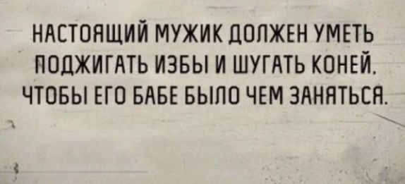 НАСТОЯЩИЙ МУЖИК ДОЛЖЕН УМЕТЬ ПОЦЖИГАТЬ ИЗБЫ И ШУГАТЬ КОНЕЙ ЧТОБЫ ЕГО БАБЕ БЫЛО ЧЕМ ЗАНЯТЬСЯ С