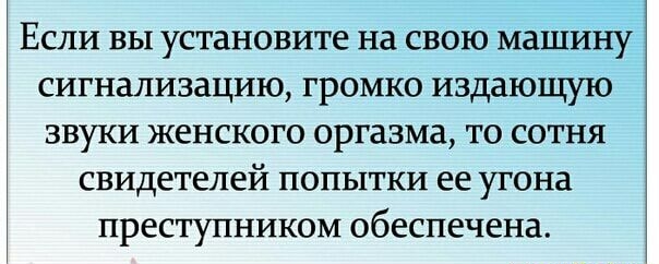 Если вы установите на свою машину сигнализацию громко падающую звуки женского оргазма то сотня свидетелей попытки ее угона преступником обеспечена