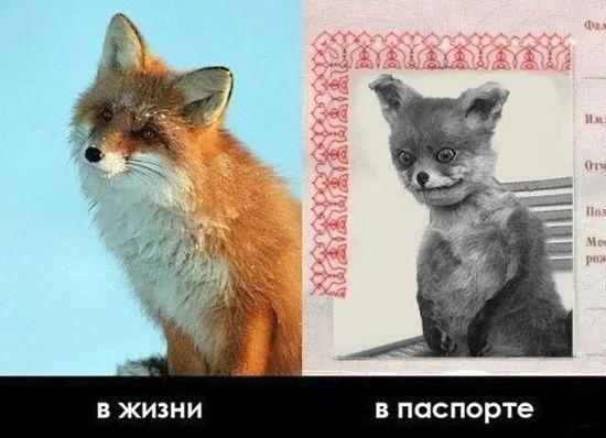 В ЖИЗНИ В ПОСПОРТе