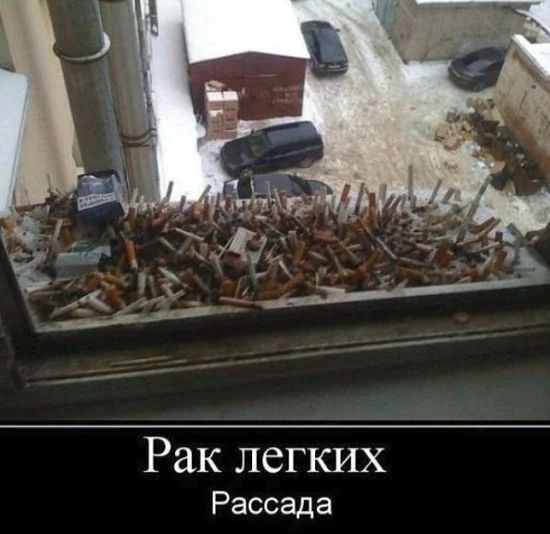 Рак легких Рассада