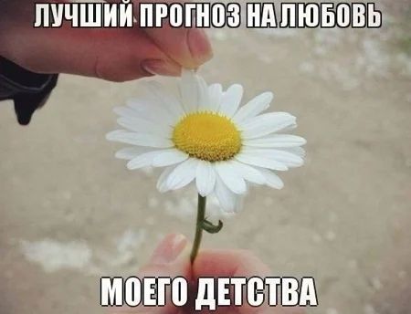 Багги ни 1 1 мнет дПЮТВд