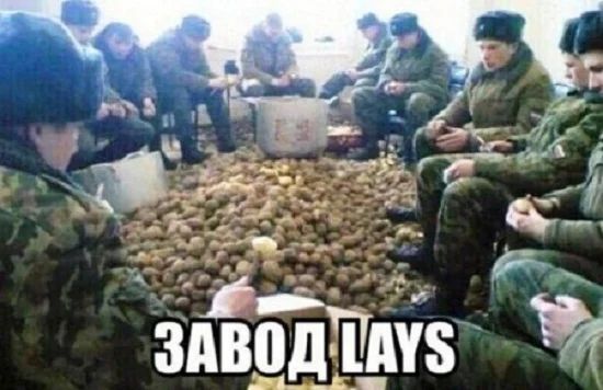 здвбііТЁз