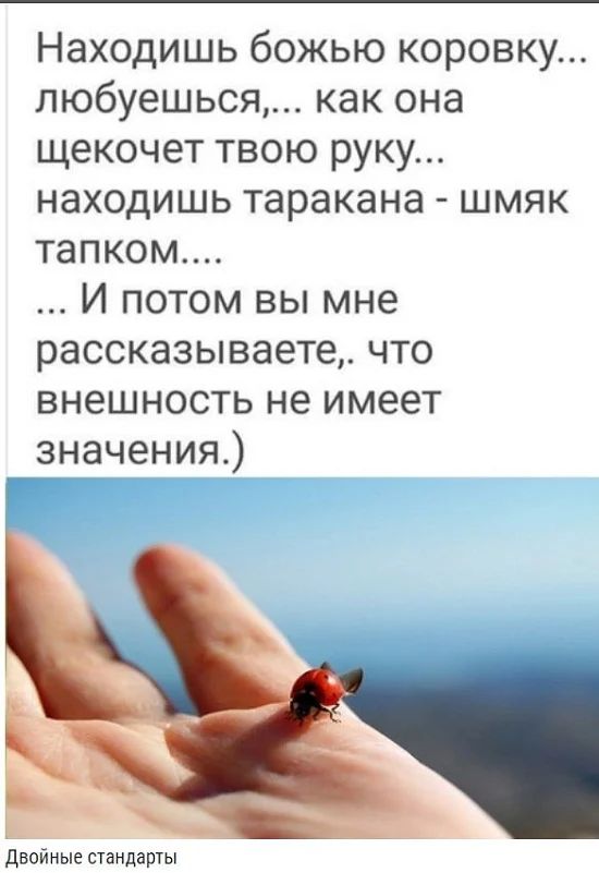 Находишь божью коровку любуешься как она щекочет твою руку находишь таракана шмяк тапком И потом вы мне рассказываете что внешность не имеет значения Двойные стандарты