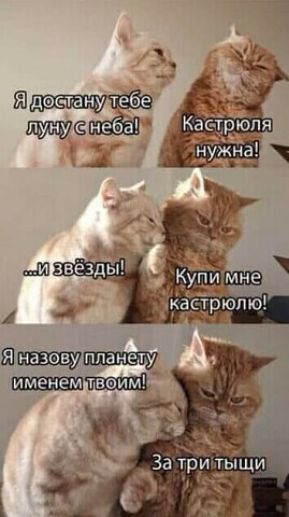 тм дите ад