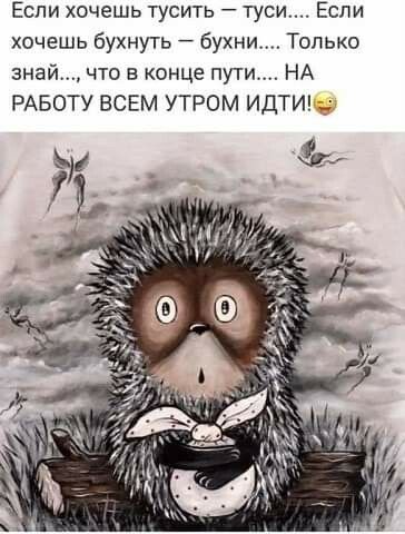 Если хочешь тусить тупи Если хочешь бухнуть бухни Только знай что в конце пути НА РАБОТУ ВСЕМ УТРОМ ИДТИ