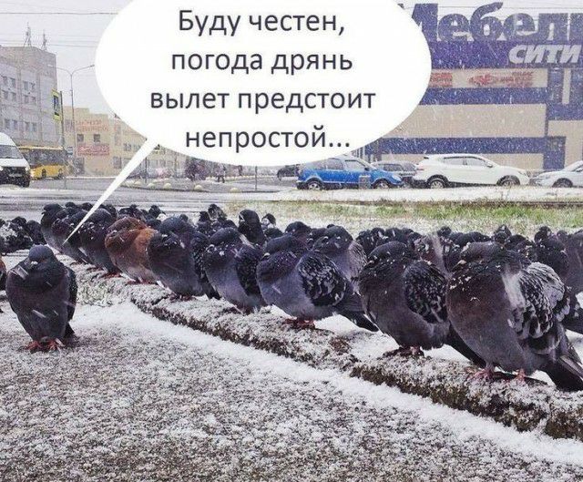 Буду честен погода дрянь _ вылет предстоит _ непростой