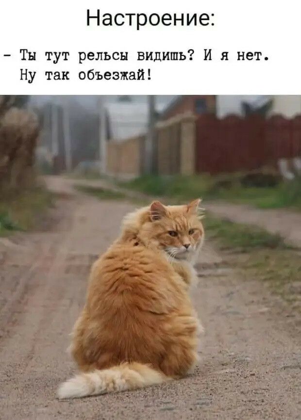 Настроение Тн тут рельсы видишь И я нет Ну так объезжай