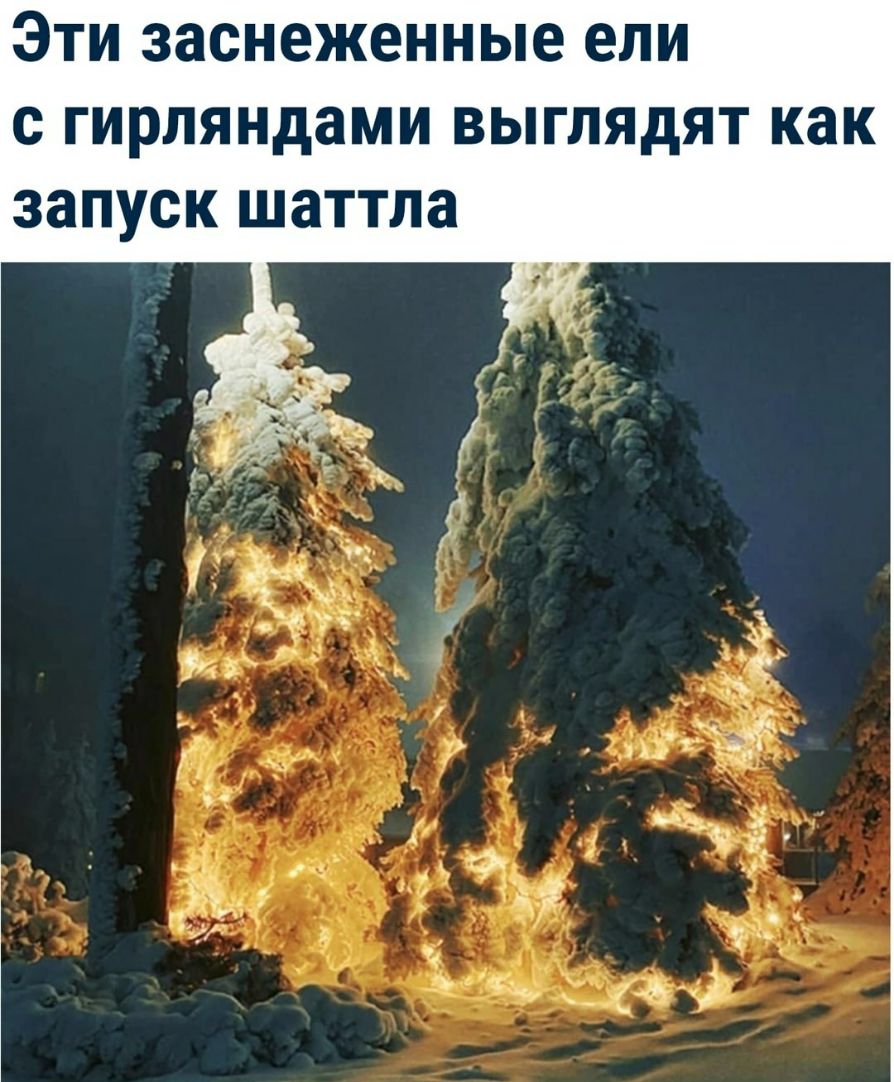 Эти заснеженные ели с гирляндами выглядят как запуск шаттла