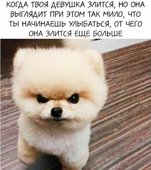 КОГАА твоя ДЕВУШКА злится но ОНА выглядит при этом ТАК мило что ты НАЧИНАЕШЬ улывАться от чего ОНА злится еще ЁЛЬШЕ