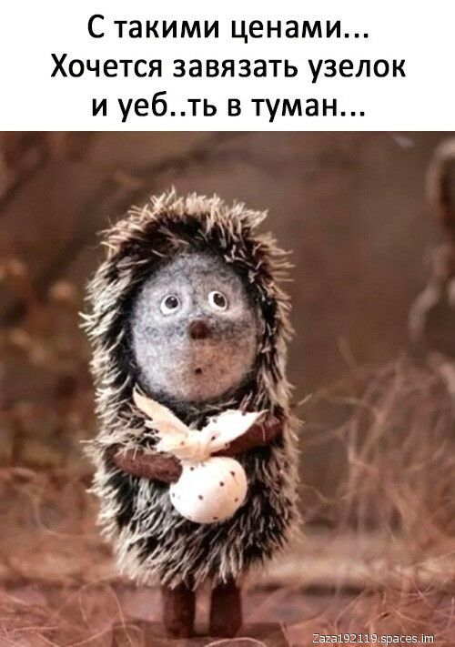 С такими ценами Хочется завязать узелок и уебть в туман ашвзпч эрадеэ