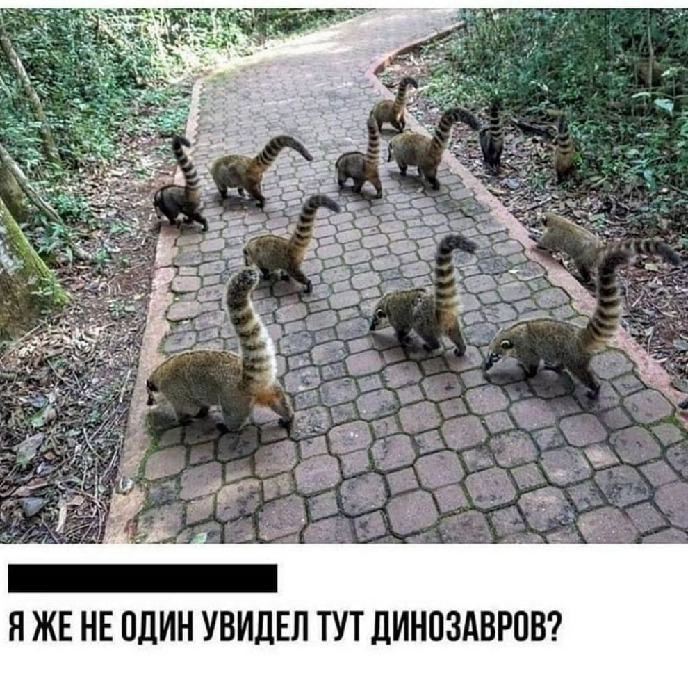В и Р В А 3 и н И Пн Т П Л Е Пн И Б У н И П 0 Е Н Е Ж я
