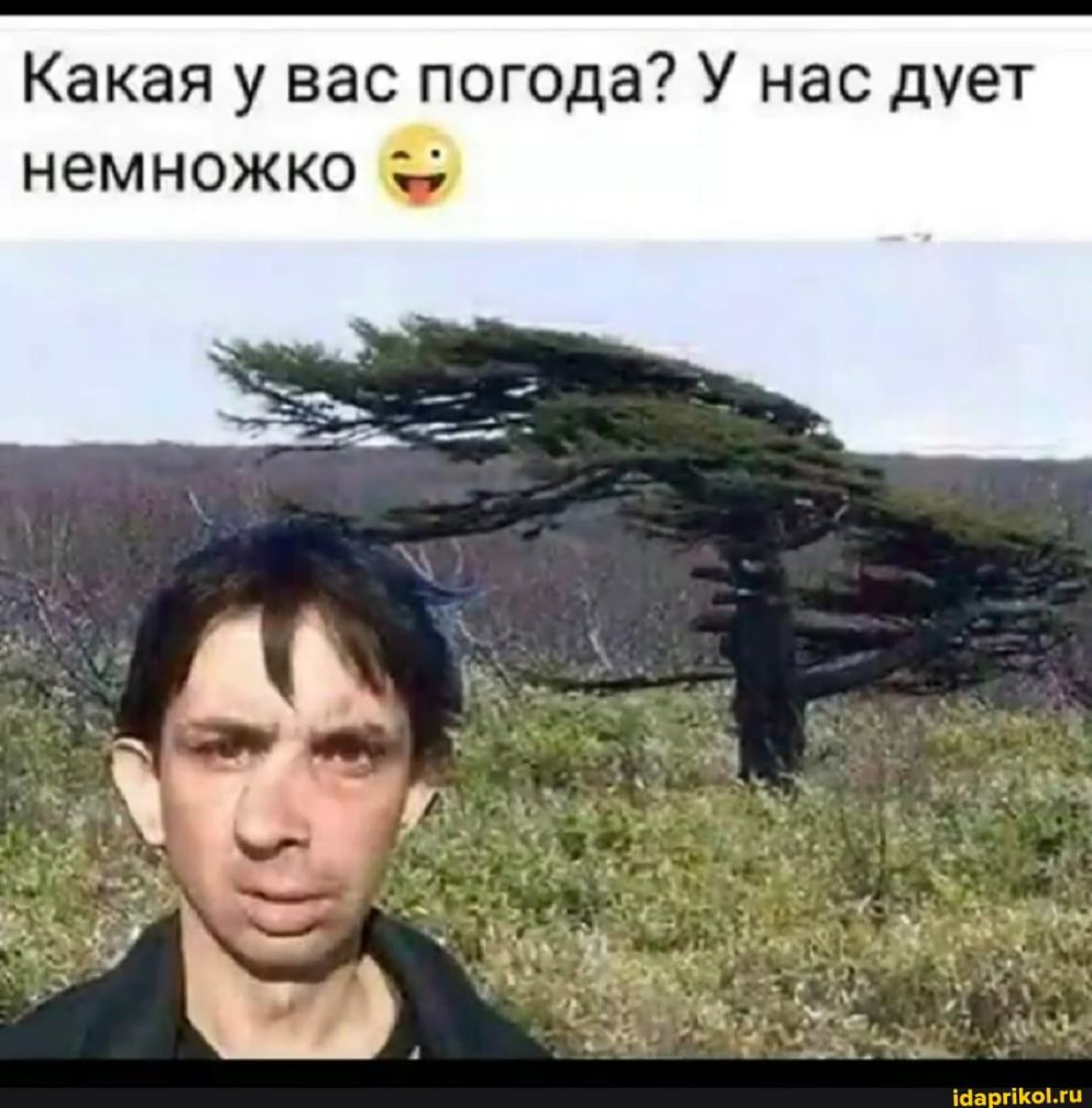 Какая у вас погода У нас дует немножко