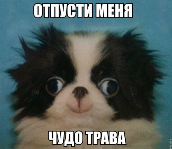 ШШШ МЕНЯ