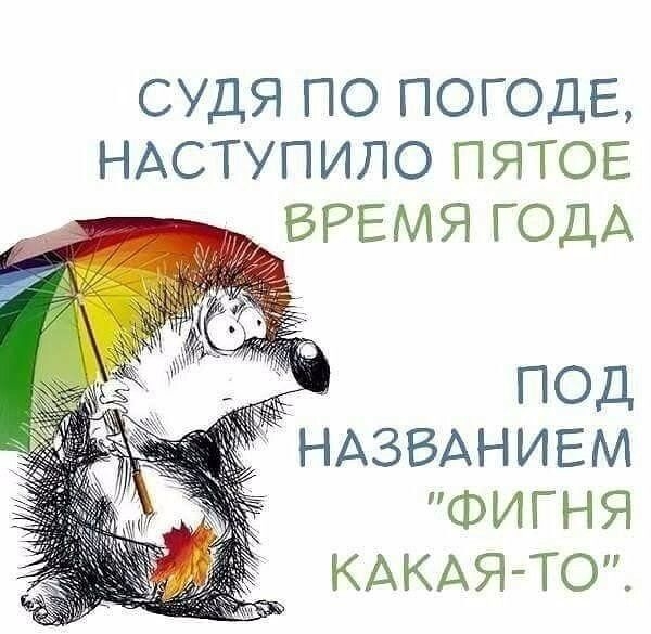 СУДЯ ПО ПОГОДЕ НАСТУПИЛО ПЯТОЕ ВРЕМЯ ГОДА ПОД НАЗВАНИЕМ ФИГНЯ КАКАЯ ТО