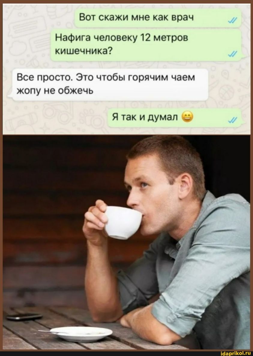 Вот скажи мне как врач Нафига человеку 12 метров кишечника Все просто Это чтобы горячим чаем жопу не обжечь Я так и думал Ша гіКпЫи