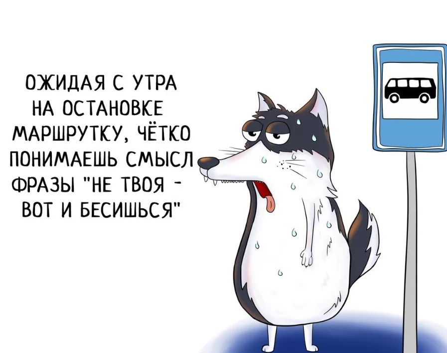 ОЖИДАЯ с УТРА НА ОСТАНОВКЕ МАРШРУТКУ ЧЕТКО ПОНИМАЕШЬ СМЫСЛ _ ФРАЗЫ НЕ ТВОЯ ВОТ И БЕСИШЬСЯ