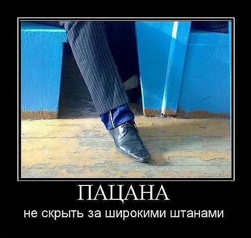 не СКРЫТЬ за ШИРОКИМИ ШТЭНЭМИ