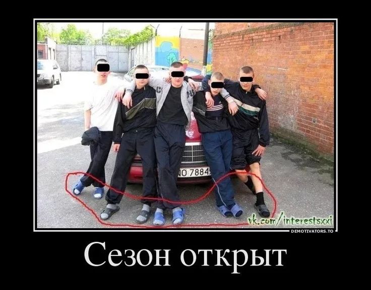 Сезон открыт