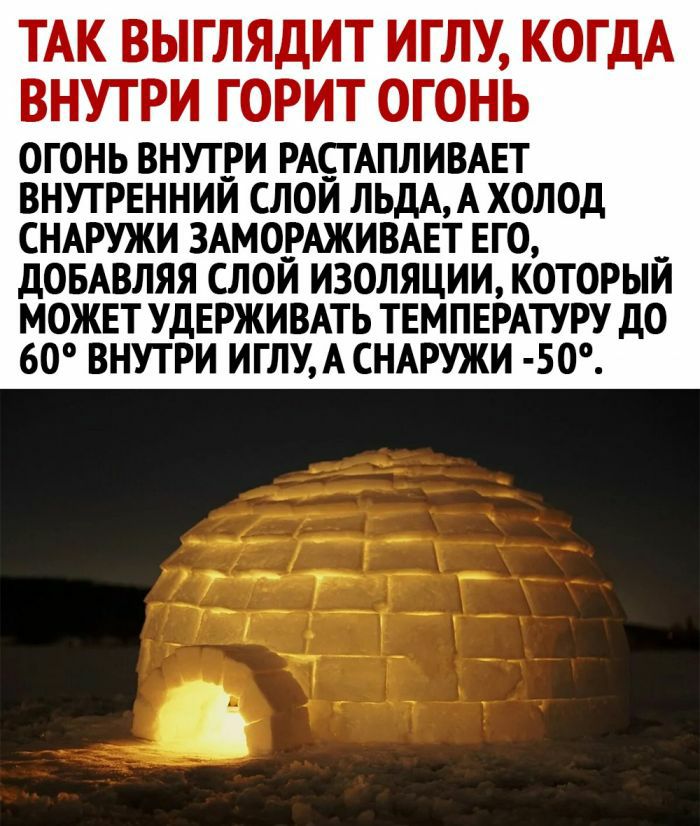 ТАК ВЫГЛЯДИТ ИГЛУ КОГДА ВНУТРИ ГОРИТ ОГОНЬ огонь внутри РАСТАПЛИВАЕТ ВНУТРЕННИЙ СЛОЙ ЛЬдАА ХОЛОД СНАРУЖИ ЗАМОРАЖИВАЕТ ЕГО ДОБАВЛЯЯ СЛОЙ ИЗОЛЯЦИИ КОТОРЫЙ МОЖЕТ УДЕРЖИВАТЬ ТЕМПЕРАТУРУ ДО 60 ВНУТРИ ИГЛУАСНАРУЖИ 50
