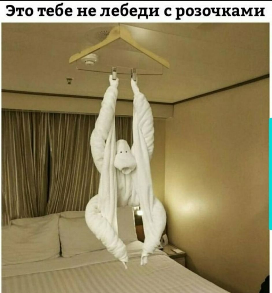 Это тебе не лебеди с розочками