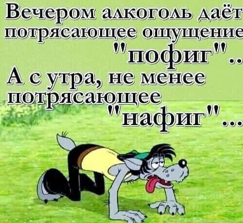 ШУ щупЩ фиг 1 А с утра не потрясет так Наф