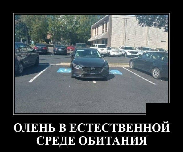ОЛЕНЬ В ЕСТЕСТВЕННОЙ СРЕДЕ ОБИТАНИЯ
