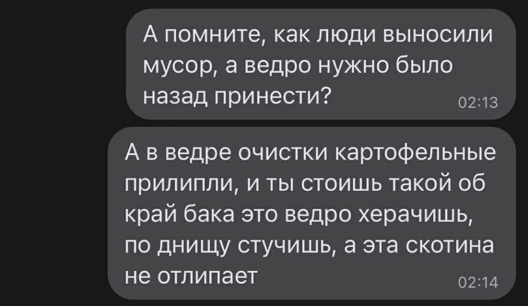 А помните как люди выносили мусор а ведро нужно было назад принести 0213 А в ведре очистки картофельные прилипли и ты стоишь такой 06 край бака это ведро херачишь по днищу стучишь а эта скотина не отлипает 0214