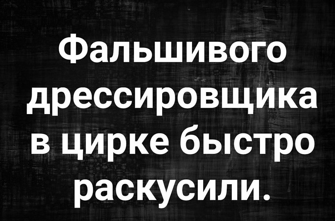 Фальшивого дрессировщИка в цирке быстро раскусили