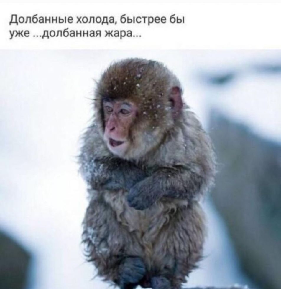 Долбанные холода быстрее бы уже долбанная жара