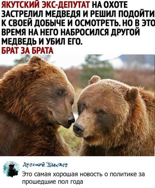 якутскии экс дЕПУТАТ НА ОХОТЕ змтщтил МЕДВЕДЯ и решил подойти к свовй довычв и осмотгвть но 5 эт ВРЕМЯ НА НЕГО НАБРосился дРУгой МЕДВЕДЬ и Убил ЕГО БРАТ ЗА БРАТА мс и ций маша Это самая хорошая новость о политике за прошедшие пол года
