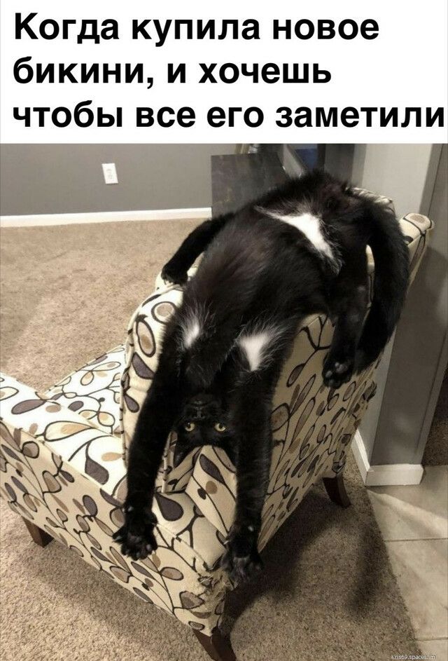Когда купила новое бикини и хочешь чтобы все его заметили