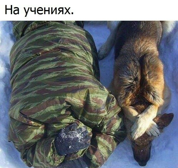 Х Я И Н е Ч у а Н