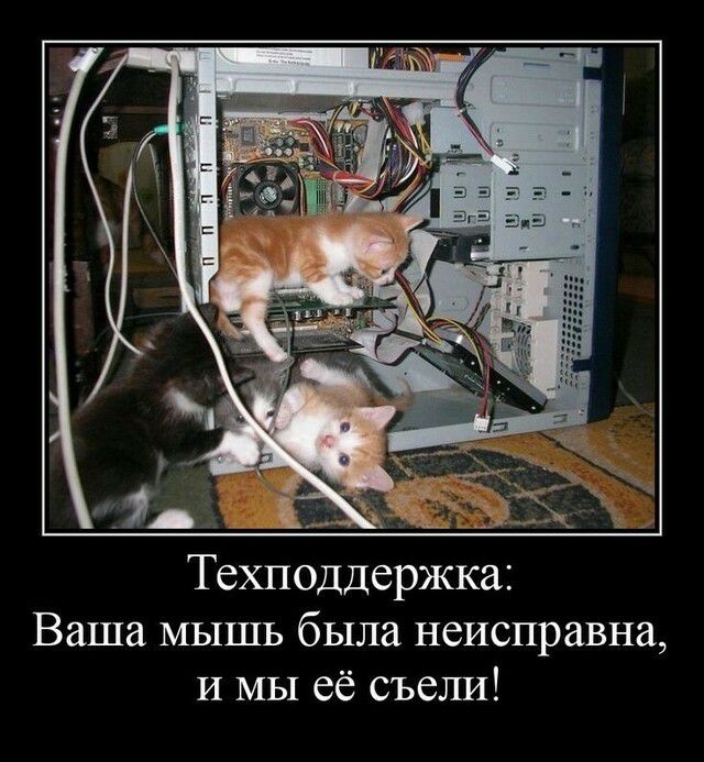 Техподдержка Ваша мышь была неисправна И мы её съели