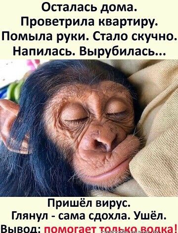 Осталась дома Проветрила квартиру Помыла руки Стало скучно Напилась Вырубилась Пришёл вирУС Глянул сама сдохла Уш Вывод