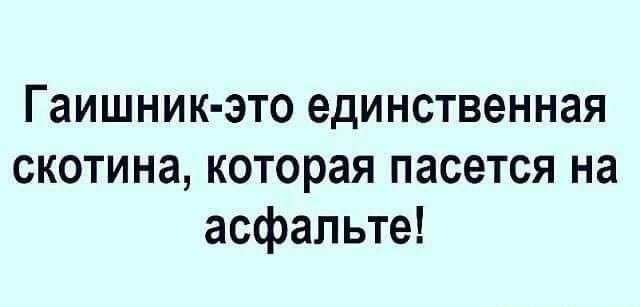 Гаишник это единственная скотина которая пасется на асфальте