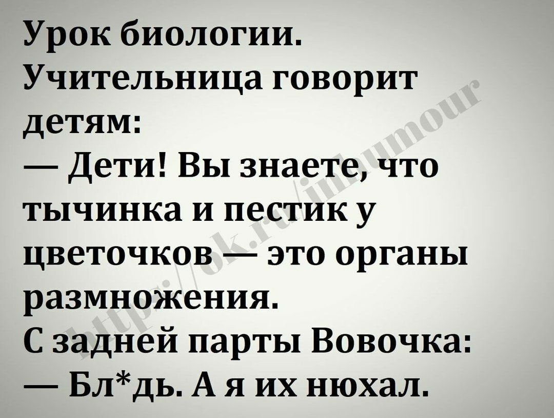 Урок биологии Учительница говорит детям Дети Вы знаете что тычинка и пестик у цветочков это органы размножения С задней парты Вовочка Блдь А я их нюхал